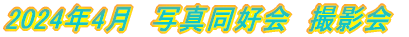 2024年4月　写真同好会　撮影会